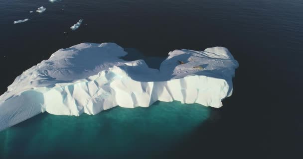 Dos Focas Descansando Sobre Enorme Glaciar Antártida Solitario Iceberg Flotando — Vídeos de Stock