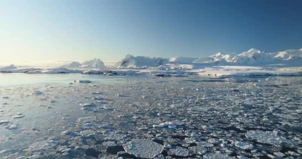 Arktische Landschaft Sonnigen Tagen Schneebedeckte Berge Und Eiswasser Ozean Winterlandschaft — Stockvideo
