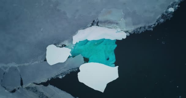 Abgestürzter Schmelzender Gletscher Der Antarktis Von Oben Nach Unten Eisberg — Stockvideo