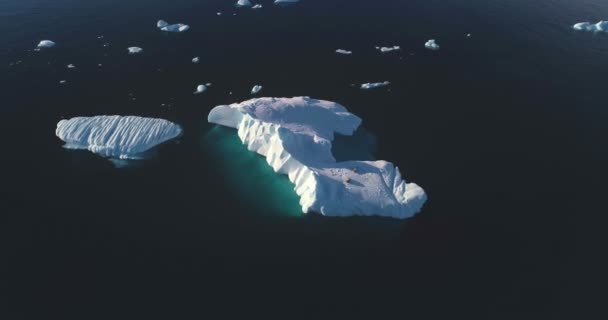 Vida Silvestre Antártida Focas Descansando Sobre Glaciares Flotantes Animales Marinos — Vídeo de stock