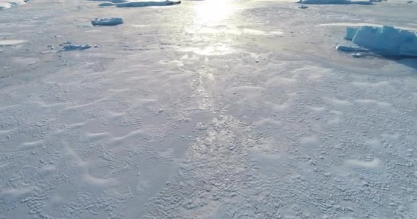 冰冻的南极洲野生动物景观空中景观 无人机在覆盖着冰的海洋中的南极冰山原封不动的荒野上空飞行 白茫茫的雪原 发现南极的美丽 — 图库视频影像