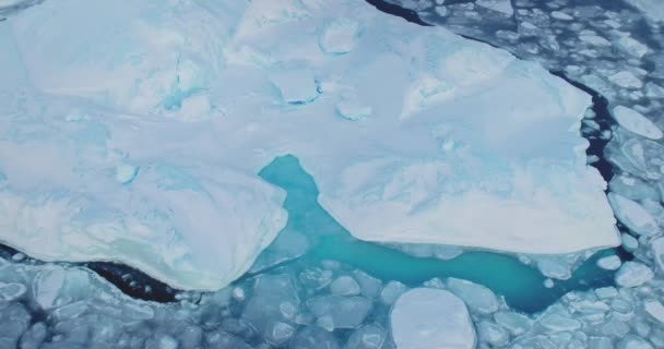Ren Flyter Antarktis Turkosa Vatten Ekologi Smältande Isglaciärer Arktisk Vinterbakgrund — Stockvideo