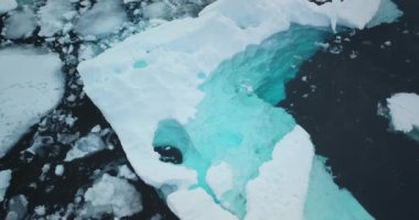 Mavi su Antarktika eriyen buzullar buz gibi okyanusta yüzüyor. Küresel ısınmanın çevresel ekolojik sorunu. Kutup iklimi kış gününde değişiyor. Antarktika soğuk su arka planı. Hava görüntüsü drone görüntüsü