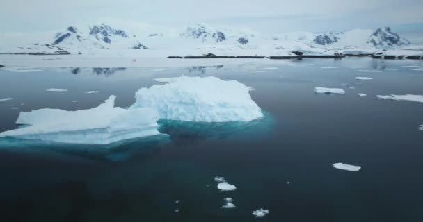 Luchtpanorama Antarctica Ijsbergen Drijven Koude Oceaan Arctisch Winterlandschap Bij Aardopwarmingsprobleem — Stockvideo
