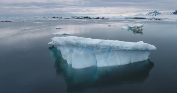 Dramatisch Geschmolzener Eisberg Von Abgestürzten Gletschern Treibt Antarktischen Ozean Majestätische — Stockvideo