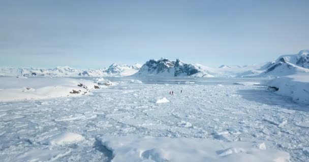 Ludzie Zwiedzający Antarktydę Odkrywają Piękno Bieguna Południowego Ekspedycja Podróże Przygoda — Wideo stockowe
