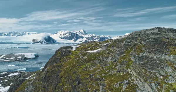 Green mountain at Antarctic ocean bay aerial view. Amazing nature of greenery rock at snow covered icebergs background. Birds flying over mount top. Environment scenery of climate change drone shot
