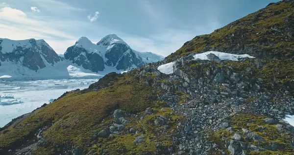 Mountain with rocks, mosses at Antarctic landscape with hiking tourist. Environment nature variety of green grass and snow and ice icebergs at aerial view. Bird flying above traveler at mount hill