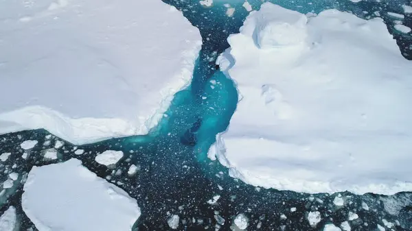 Climate Change: Melting Iceberg. Ocean Clear Water Among Icebergs. Antarctica Aerial Zoom Flight. Drone Top Down Overview Of Snow Covered Glaciers. Crystal Clear Ocean Water. Beauty Of Wild Untouched