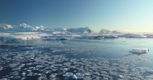 Arktyczny Zimowy Krajobraz Lotu Drona Topniejący Lód Powierzchni Oceanu Ośnieżone — Wideo stockowe