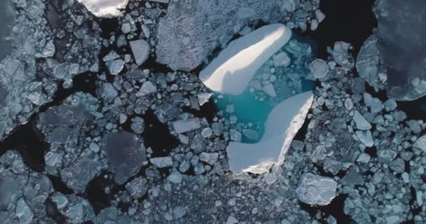 Olvadó Gleccser Fagyott Sarki Óceán Antenna Tetején Lefelé Kék Jéghegy — Stock videók