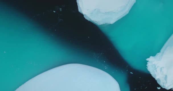 Коллекция Айсбергов Дрейфует Поверхности Холодной Арктической Воды Ледяные Образования Естественном — стоковое видео