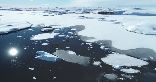 空中景观极地海洋冰冻景观 夏天的阳光下 冰融化 漂浮在黑暗的表面 蓝色的水和破碎的冰流组成的自然湖 融化的冰 气候变化 全球变暖 — 图库视频影像