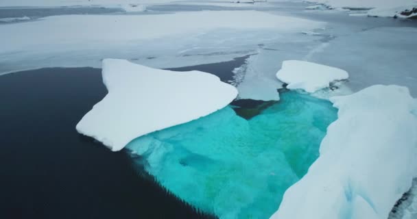 融化的冰山蓝色的水漂移冰冻的冰海洋在南极洲 在雪景中高耸的冰川 自然美的风景 生态学 融化的冰 气候变化 全球变暖 空中无人驾驶飞机镜头 — 图库视频影像