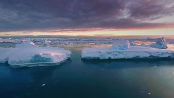 Par Enormes Icebergs Flotan Océano Atardecer Glaciares Deriva Bajo Dramático — Vídeo de stock