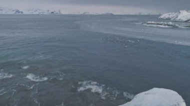 Hava uçuş yüzme penguenler üzerine. Antarktika uçağı Kutup okyanus su bir kadeh. Kar kaplı dağlar arka plan. Buz soğuk. Vahşi hayvan davranış. Deniz yaban hayatı. 4 k görüntüleri.