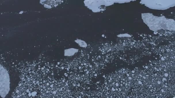 Klimatförändringar Antarktis Ocean Brash Isvatten Uppifrån Flygfoto Flyg Zoom Med — Stockvideo