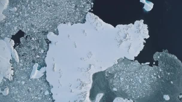 Antarctica Iceberg Aerial Top Flight View Frozen Snow Covered Ice — Stock Video