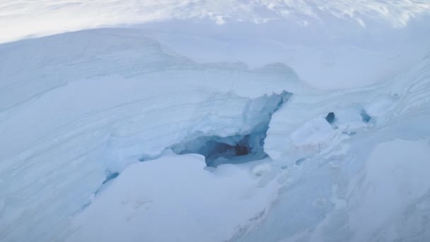 Niebieska Jaskinia Lodowa Białym Lodowcu Półwyspie Antarktycznym Strzał Powietrza Bliska — Wideo stockowe
