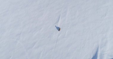 Klasik Kar Gezgini Kar Yüzeyi. Havadan İzleme Görüntüsü. Antarktika 'ya Ski-doo Seyahat Gezisi Buz Kaplı Topraklar. 4K UHD 'de Kutup Aşırı Aktivitesi İHA Görünümü Görüntüsü