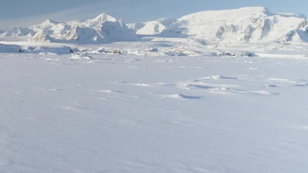 Snötäckta Antarktis Ytan Timelapse Aerial View Flygning South Pole Landskap — Stockvideo