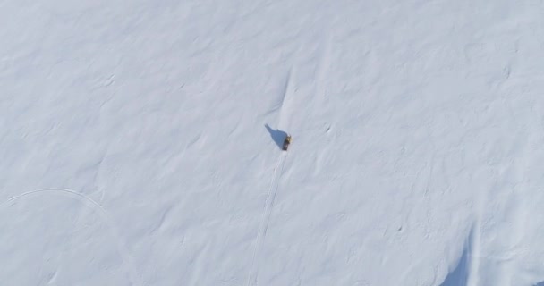 Вінтажний Снігохід Їздить Сніговій Поверхні Повітряний Відстеження Пострілу Подорож Лижах — стокове відео
