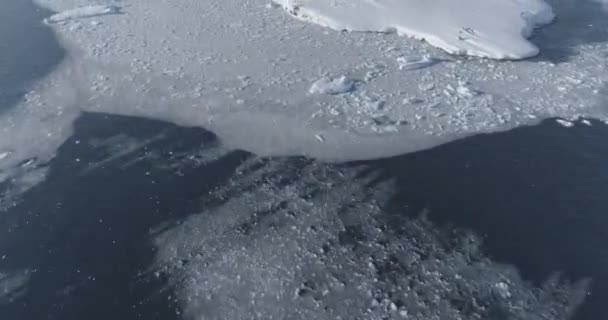 Antarctica Ocean Coast Seascape Aerial Flight View North Antarctic Open — Stock Video
