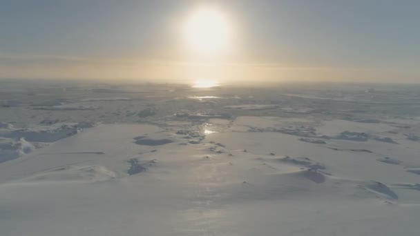 Antarctique Océan Gelé Eau Libre Côte Paysage Marin Aérien Vue — Video