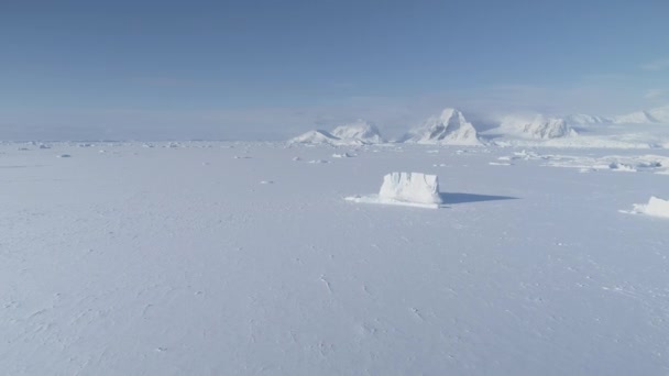 Góra Lodowa Utknęła Zamarzniętej Wodzie Oceanu Antarktycznego Widok Lotu Ptaka — Wideo stockowe