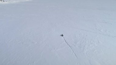 Antarktika 'da Gentoo Penguen Koşusu Donmuş Okyanus Havadan İzleme Görüntüsü. Karla Kaplanmış Buz Yüzeyindeki Kutup Kuşu Ayak İzi İzi Yapıyor. Antarktika Kış Yaban Hayatı İnsansız Hava Aracı Uçuş Genel Görünümü