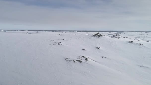 Die Schneebedeckte Oberfläche Der Antarktis Der Luft Antarktische Gefrorene Majestätische — Stockvideo