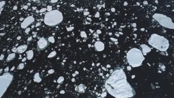 Klimaatverandering Smeltend Ijs Oceaanhelder Water Tussen Ijsbergen Antarctica Aerial Zoom — Stockvideo