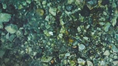 Penguenler temiz zümrüt sularında yüzüyorlar. Taş tabanlı, kristal berrak okyanus üzerinde Antarktika uçuşu. Adelie Penguenlerin Şeffaf Suda Yüzerken İnsansız Hava Aracı Çekimi. Yukarıdan Aşağı Deniz Genel Görünümü.