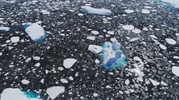 南极蓝色海洋绿松石水 浮冰和冰山空中景观 全球暖化景观 极地自然与气候变化无人机飞行视频 — 图库视频影像