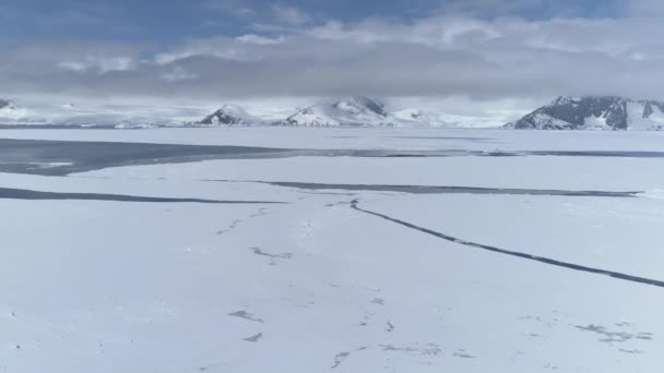 Ijsbreker Boot Navigeren Antarctische Wateren Luchtzoom Out Rode Kleur Laurence — Stockvideo