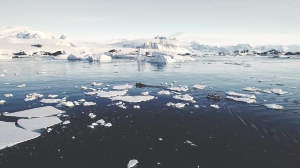 南极冰洋上空的空中飞行 无人机概述射击的雪 冰片漂浮在冰冷的极地海洋 冬季南极景观 南极海岸恶劣的环境 — 图库视频影像
