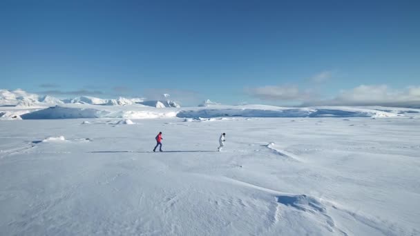 Par Personas Corriendo Cubierto Nieve Paisaje Antártida Deporte Activo Aire — Vídeo de stock