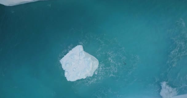 바다에서 다니는 거대한 빙산은 서서히 떠다니며 얼음의 형성의 원시력과 크기를 — 비디오