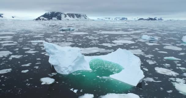 南极野生大自然空中景观全景 巨大的冰山漂浮在极地海洋上 融化的冰川漂浮着冰冷的水 海鸥在闷热的天空中飞翔 全球变暖 气候变化 北极旅行 — 图库视频影像
