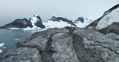 Antarktika kayalık okyanus kıyı şeridi üzerinde soğuk kutup okyanusunda sürüklenen buzdağlarıyla uçmak. Vahşi deniz kuşu dağın tepesinde dinleniyor, arka planda karla kaplı. Güney Kutbu 'nun vahşi doğasını keşfedin..