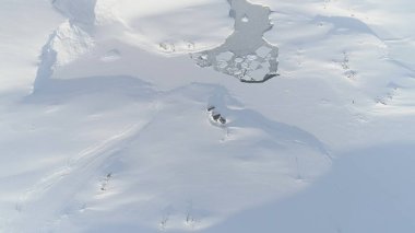 Üssün yukarısındaki Antarktika Hava Sahası. Karlı Kutup Donmuş Doğa 'daki Vernadsky İstasyonu. Açık Deniz Okyanusu Buzul Sahil Hattı İnsansız Hava Aracı