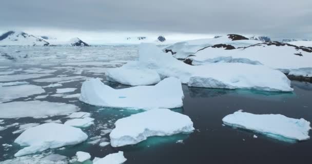 Estrelló Hielo Flotante Costa Oceánica Polar Antártida Muchos Icebergs Pequeños — Vídeo de stock