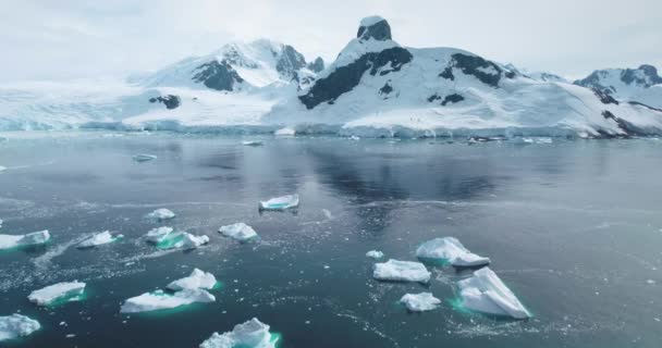 Повітряна Антарктида Глобальна Проблема Зміни Клімату Танення Айсбергів Дрейфують Воді — стокове відео