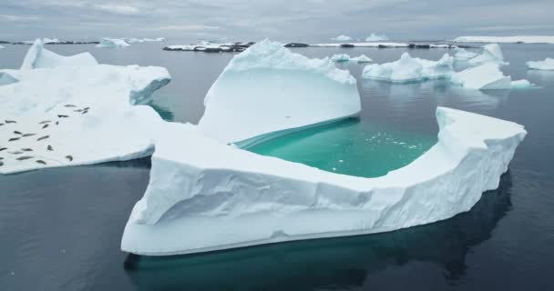 Антарктида Природная Ландшафтная Воздушная Панорама Огромный Тающий Айсберг Зеленым Озером — стоковое видео