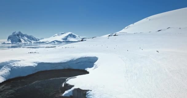 Nanılmaz Kar Antarktika Doğa Güzelliğini Kapladı Dağ Sırası Kutup Okyanusu — Stok video