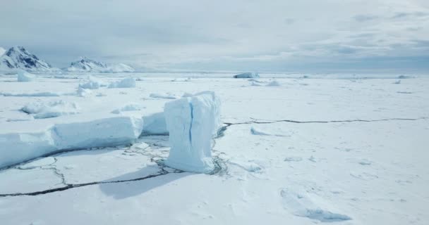 Zimowy Mrożony Ocean Antarktydzie Widok Lotu Ptaka Góry Lodowej Pokrytej — Wideo stockowe