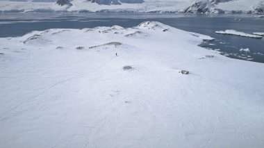 Antarktika Keşfi Adelie Penguen Hava Görüntüsü. Kutup Kaşifi Görkemli Kar Yarımadası Yürüyüşü. Sert İklim Antarktika Buz Doğası İnsansız Hava Aracı Genel Görünümü