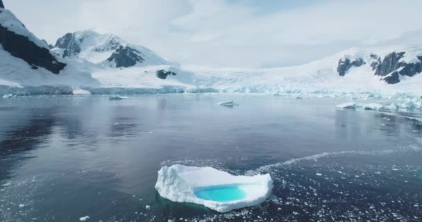 Fusione Blu Acqua Iceberg Galleggiante Nella Baia Dell Oceano Antartide — Video Stock