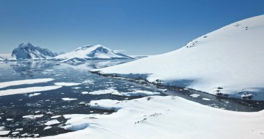 İnanılmaz kar Antarktika doğa güzelliğini kapladı. Dağ sırası, kutup okyanusu, donmuş buzullar, kıyı şeridi üzerinde uzanan penguen kolonisi mavi gökyüzü. Antarktika seyahati ve keşfi. Panoramik İHA uçuşu