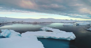 Antarktika 'daki vahşi yaşamı araştırın. Güney Kutbu seyahati. Kutup manzarası. Buzul fok üzerinde uyumak, gün batımı gökyüzünün altında soğuk okyanus. Dokunulmamış vahşi doğanın güzelliği. Sinematik hava aracı.